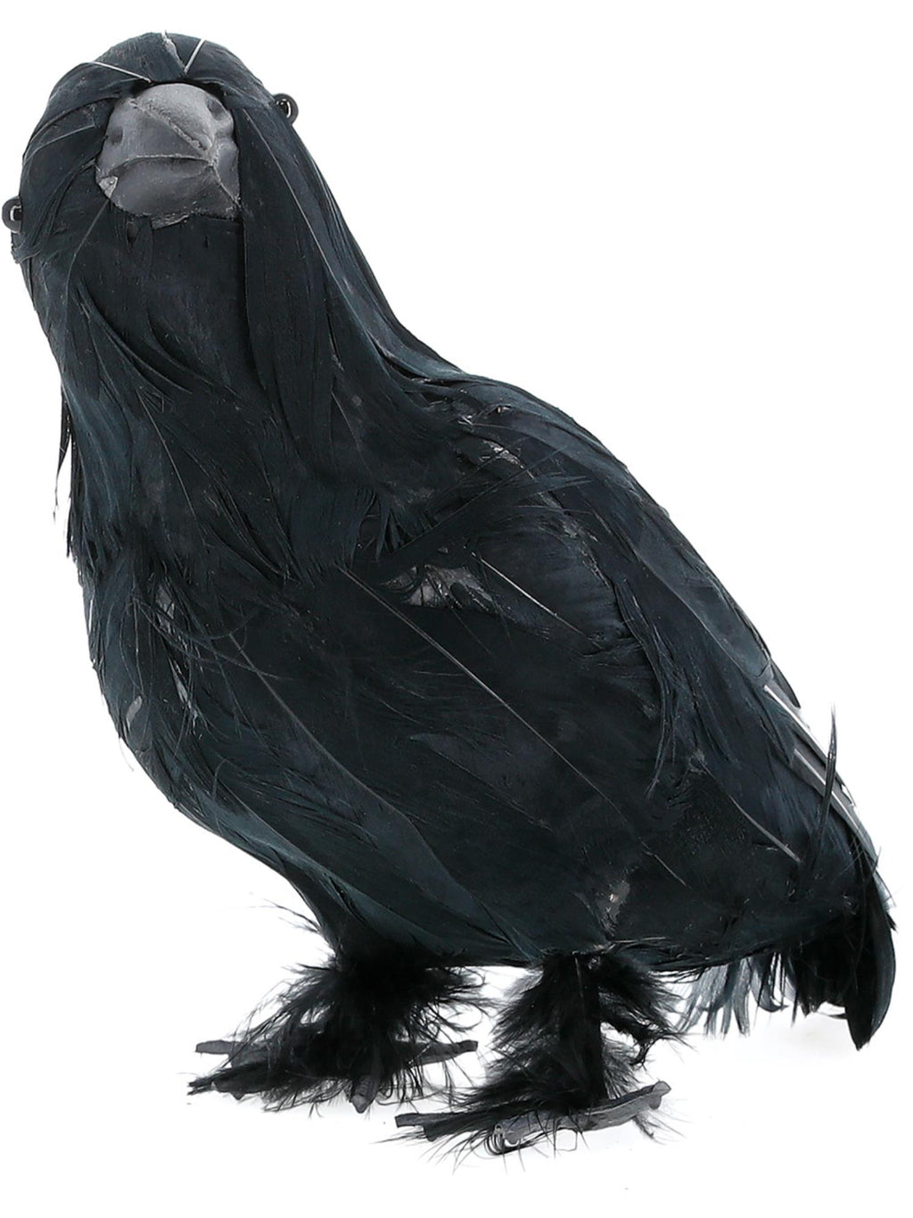 Crow