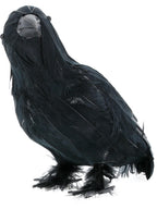 Crow