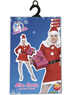 Miss Santa Costume