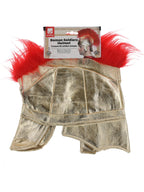 Roman Soldiers Helmet