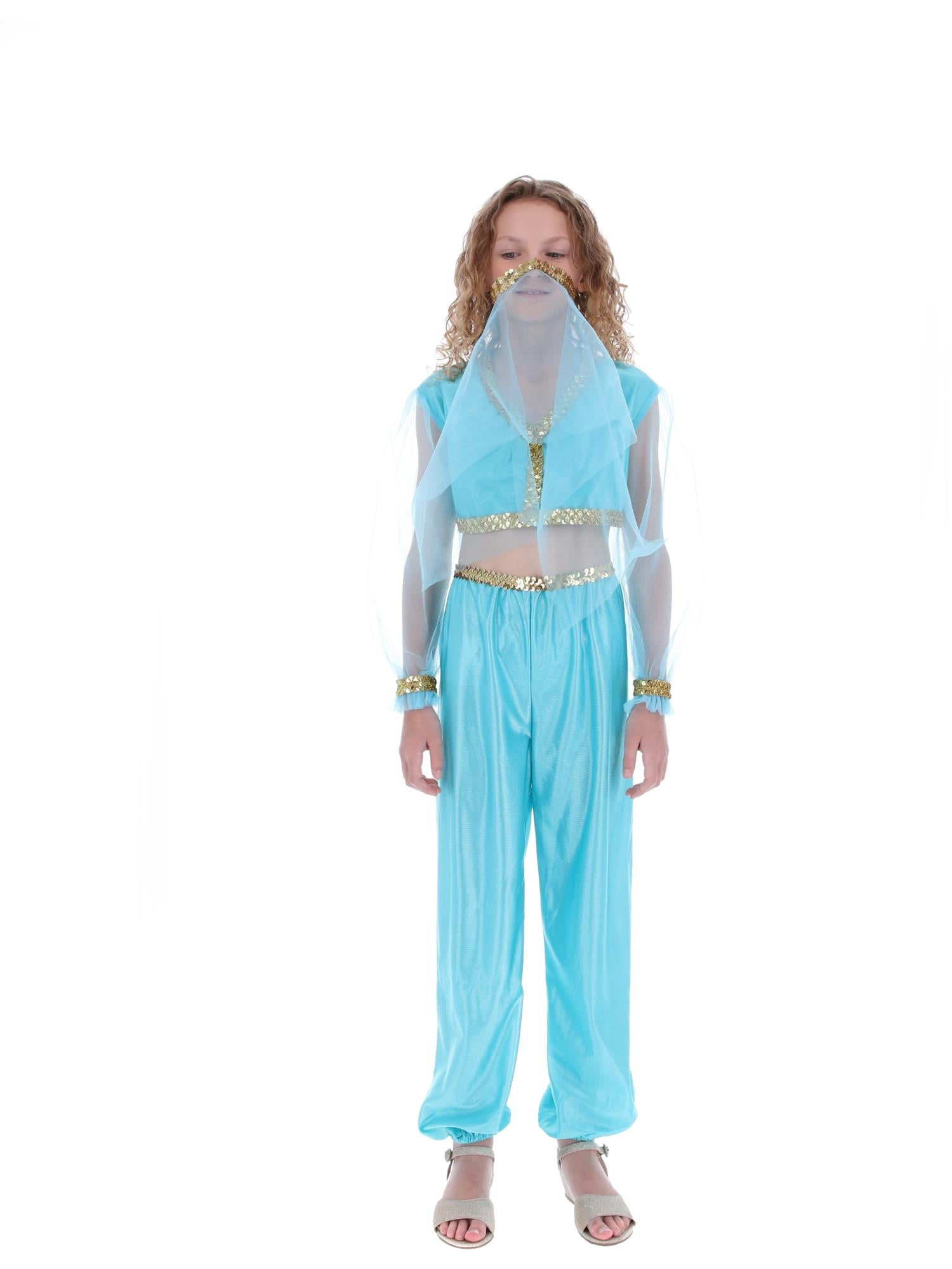 Arabian Princess Costume