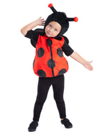 Ladybird Costume