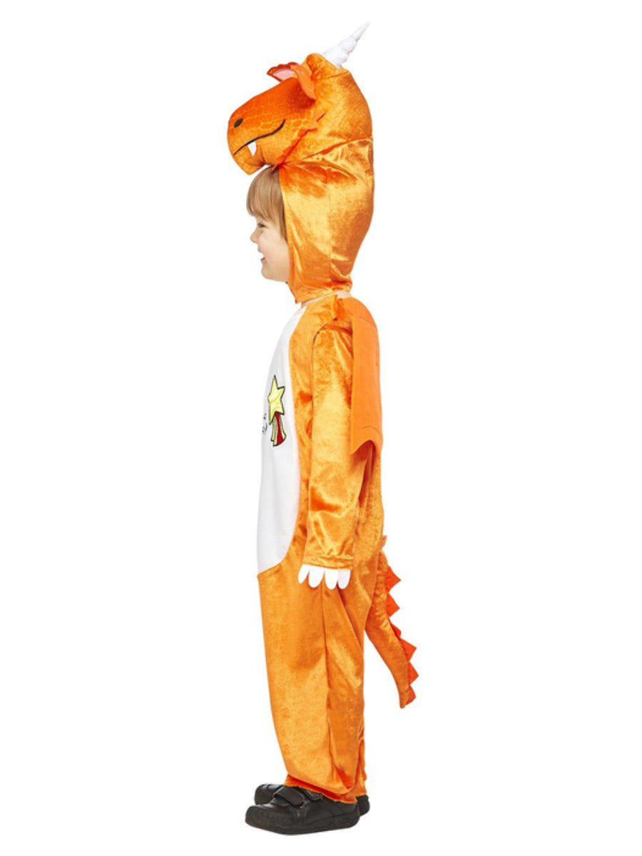 Julia Donaldson Zog Costume