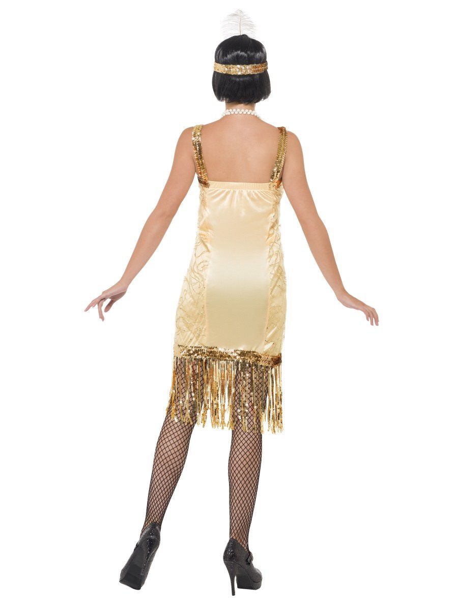 Charleston Flapper Costume Alternative View 2.jpg