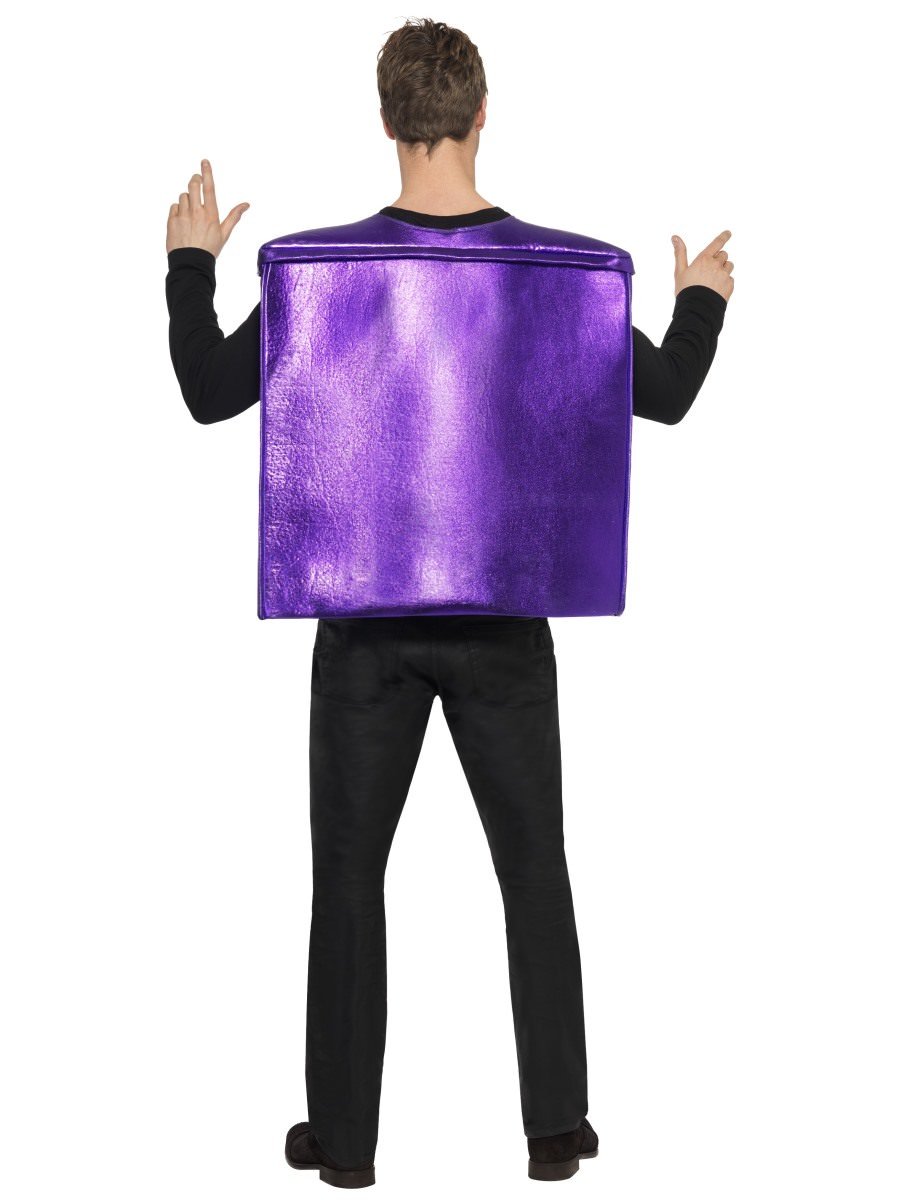 Christmas Present Costume Alternative View 2.jpg