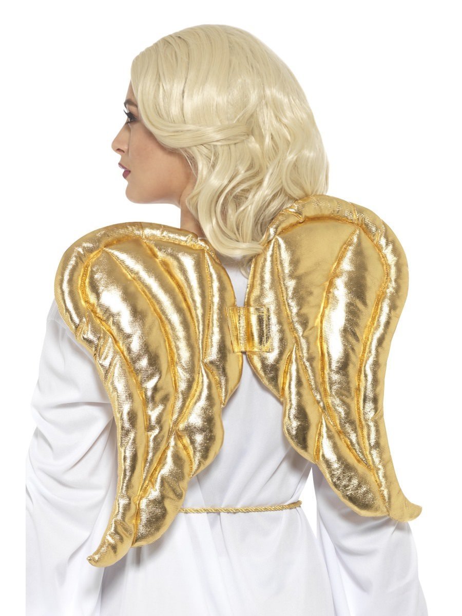 Deluxe Angel Wings Alternative View 1.jpg