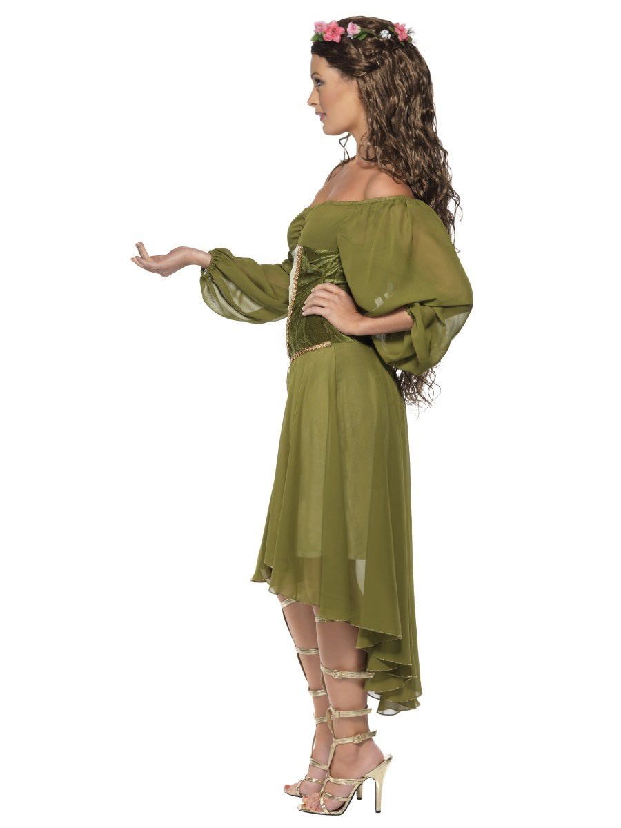 Fair Maiden Costume Alternative View 1.jpg