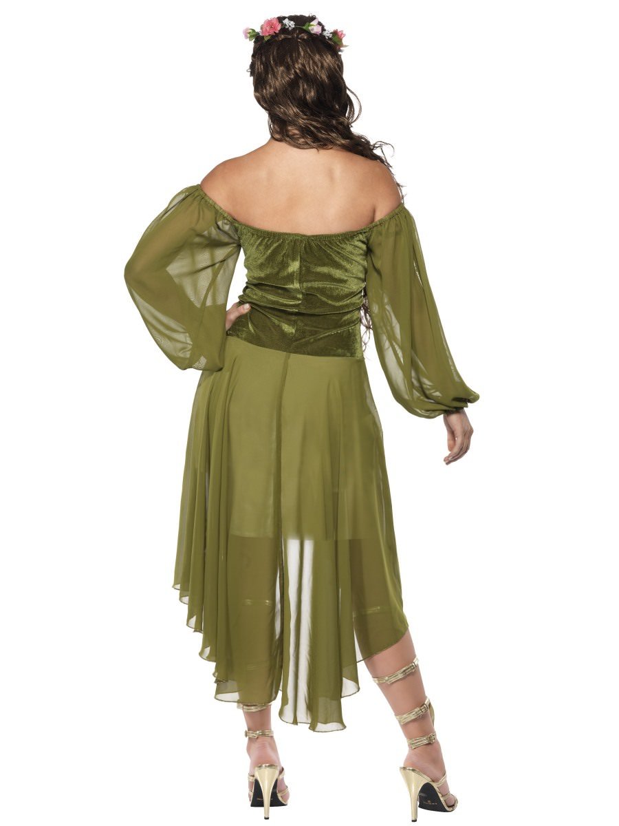 Fair Maiden Costume Alternative View 2.jpg