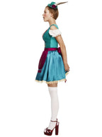 Fever Deluxe Dirndl Costume Alternative View 1.jpg