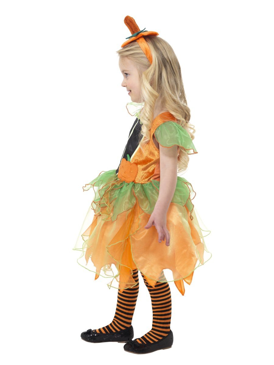 Pumpkin Fairy Costume Alternative View 1.jpg