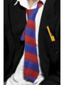 School Tie Red and Blue