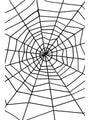 Black Spiders Web