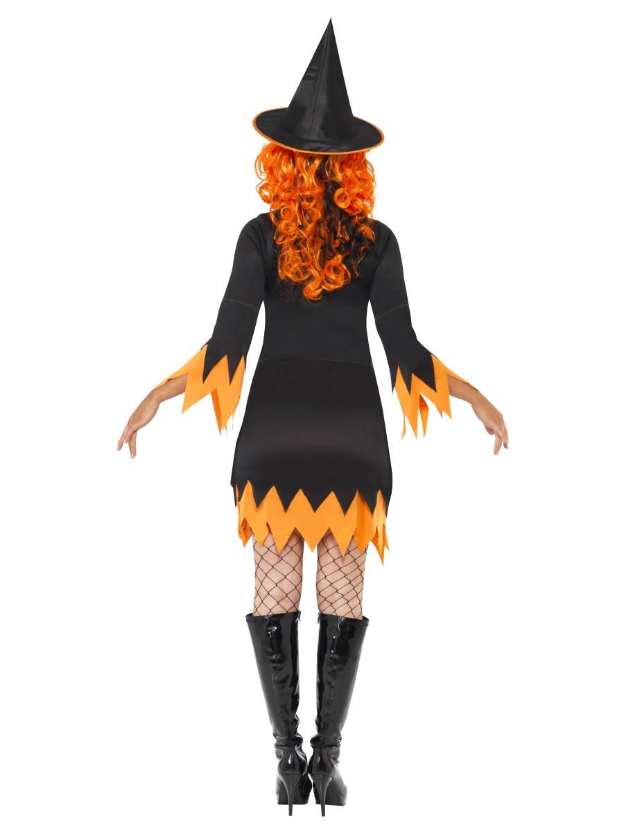Witch Costume, Black & Orange Alternative View 2.jpg
