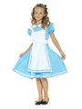 Wonderland Princess Dress Costume